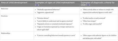 Case conceptualization in child welfare: an underused resource to improve child, family, and provider outcomes